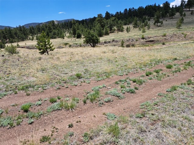 744 Julia Rd, Guffey, CO 80820 - photo 16