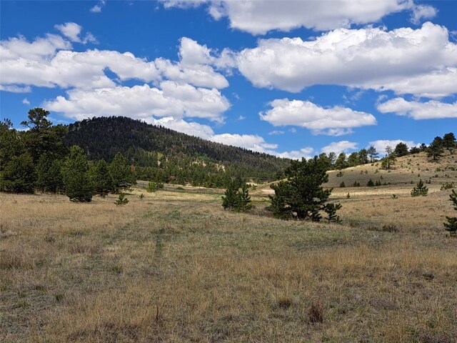 744 Julia Rd, Guffey, CO 80820 - photo 8