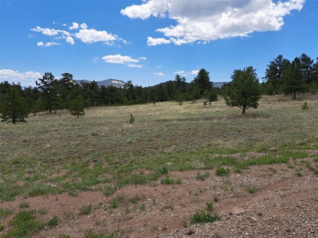 744 Julia Rd, Guffey, CO 80820 - photo 5