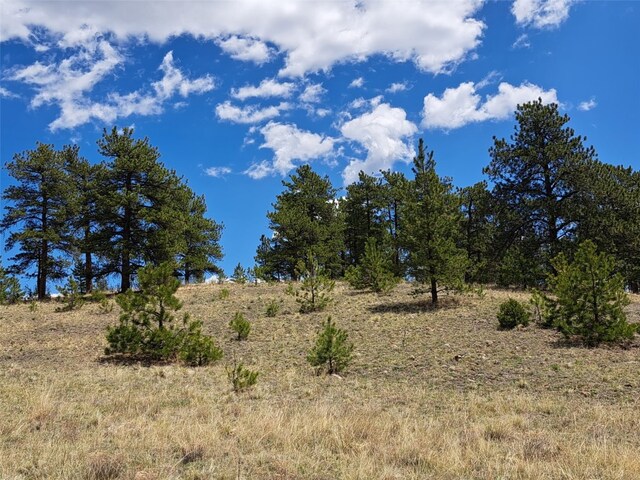 744 Julia Rd, Guffey, CO 80820 - photo 21