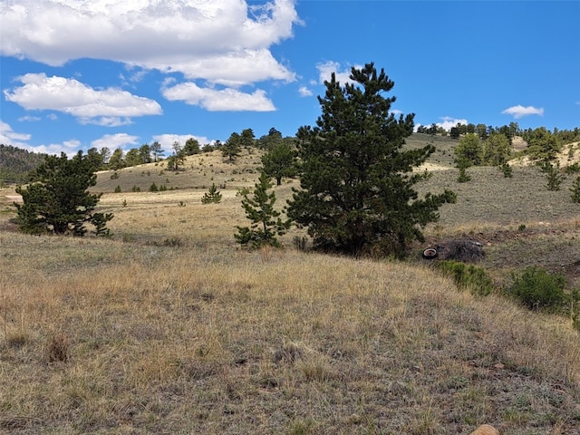744 Julia Rd, Guffey, CO 80820 - photo 22