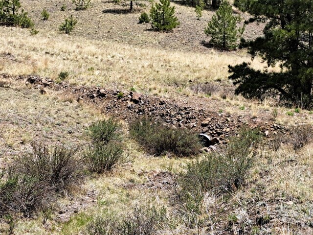 744 Julia Rd, Guffey, CO 80820 - photo 33