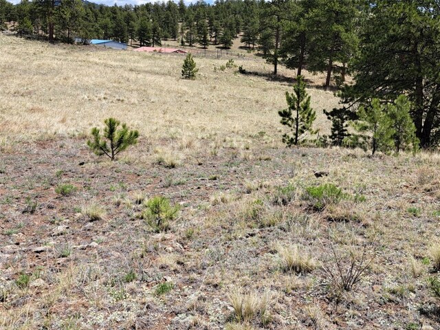 744 Julia Rd, Guffey, CO 80820 - photo 27