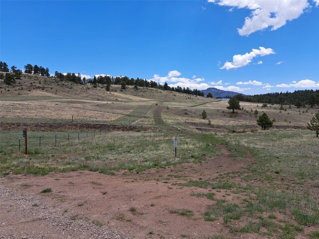 744 Julia Rd, Guffey, CO 80820 - photo 6