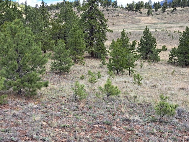 744 Julia Rd, Guffey, CO 80820 - photo 20