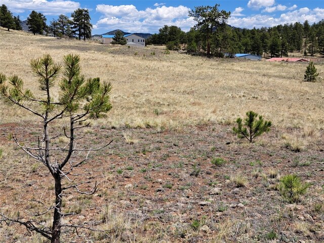 744 Julia Rd, Guffey, CO 80820 - photo 19