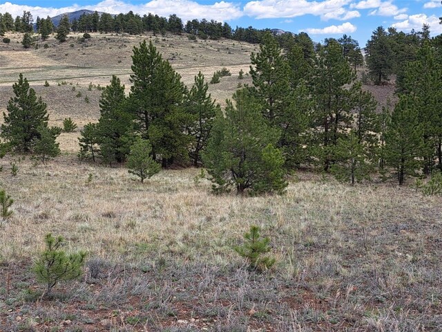 744 Julia Rd, Guffey, CO 80820 - photo 3