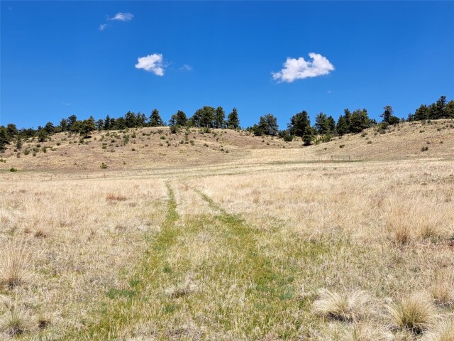 744 Julia Rd, Guffey, CO 80820 - photo 36
