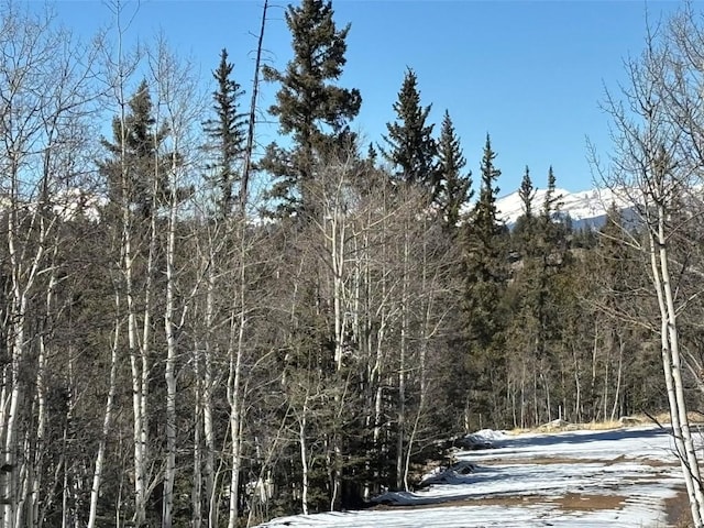 192 Bear Way, Como, CO 80432