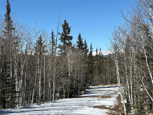 192 Bear Way, Como, CO 80432