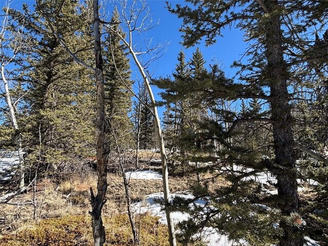 192 Bear Way, Como, CO 80432