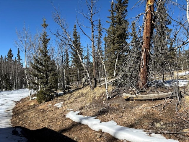 192 Bear Way, Como, CO 80432
