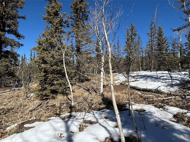 192 Bear Way, Como, CO 80432