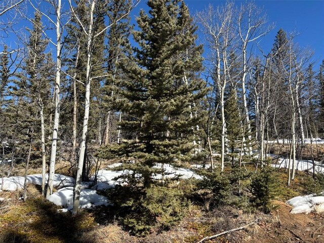 192 Bear Way, Como, CO 80432