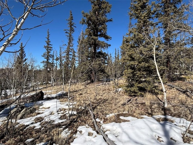 192 Bear Way, Como, CO 80432
