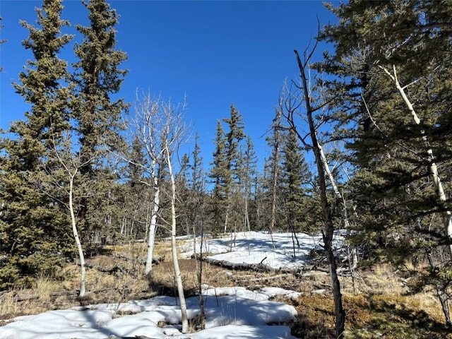 192 Bear Way, Como, CO 80432