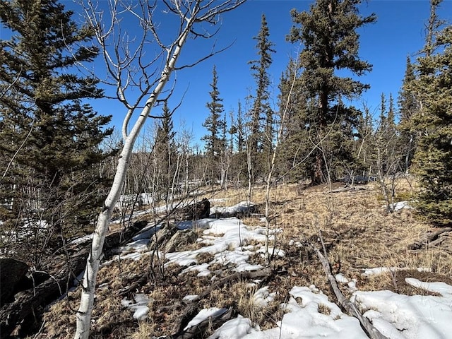 192 Bear Way, Como, CO 80432