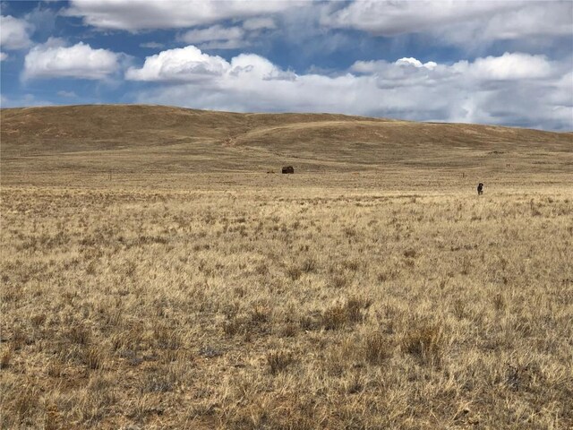 0 Antero Trl, Hartsel, CO 80449 - photo 11