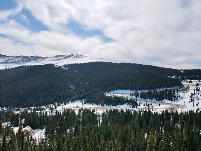 281 Kimmes Ln, Breckenridge, CO 80424