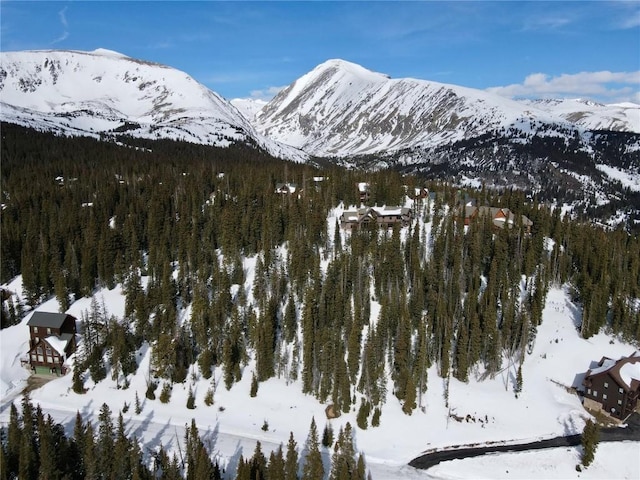 281 Kimmes Ln, Breckenridge, CO 80424