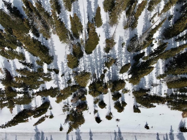 281 Kimmes Ln, Breckenridge, CO 80424