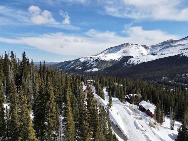 281 Kimmes Ln, Breckenridge, CO 80424