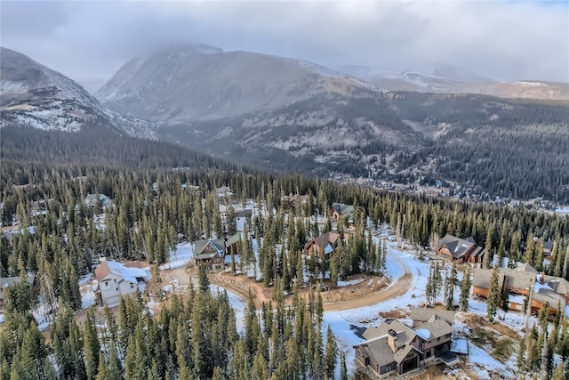 281 Kimmes Ln, Breckenridge, CO 80424