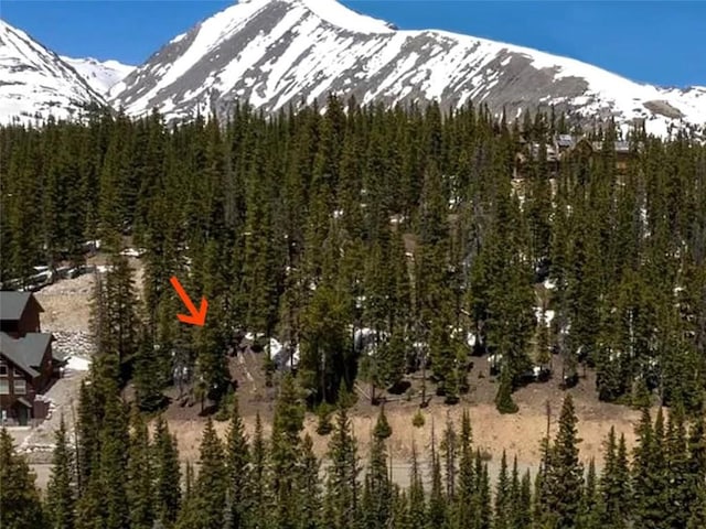 281 Kimmes Ln, Breckenridge, CO 80424