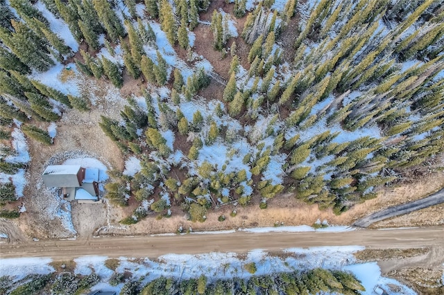 281 Kimmes Ln, Breckenridge, CO 80424
