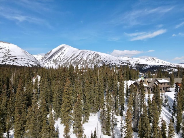 281 Kimmes Ln, Breckenridge, CO 80424