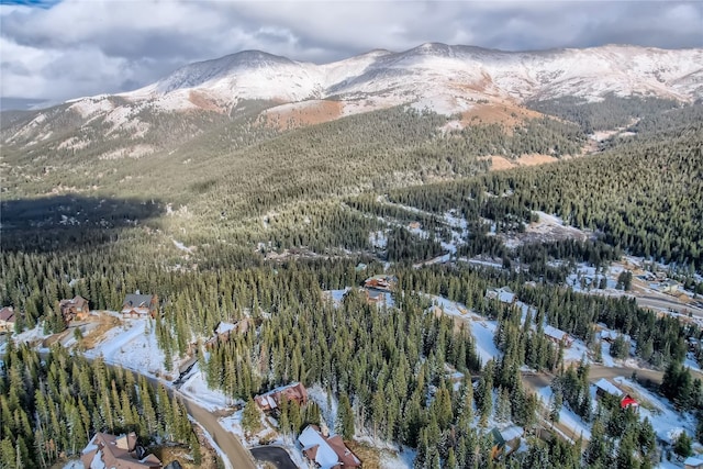 281 Kimmes Ln, Breckenridge, CO 80424