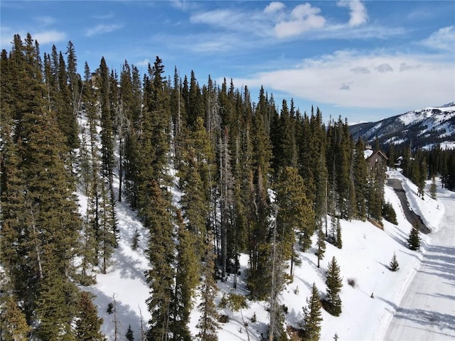 281 Kimmes Ln, Breckenridge, CO 80424