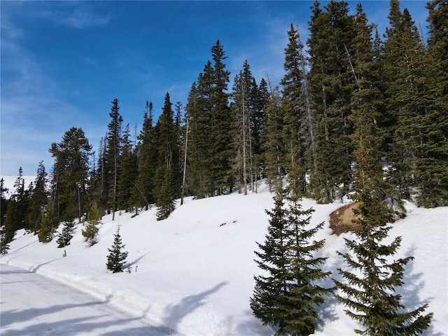 281 Kimmes Ln, Breckenridge, CO 80424