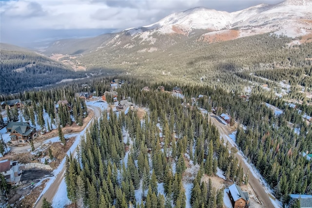 281 Kimmes Ln, Breckenridge, CO 80424