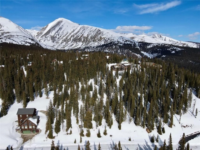 281 Kimmes Ln, Breckenridge, CO 80424