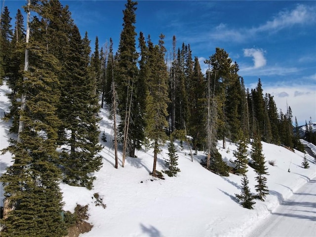281 Kimmes Ln, Breckenridge, CO 80424