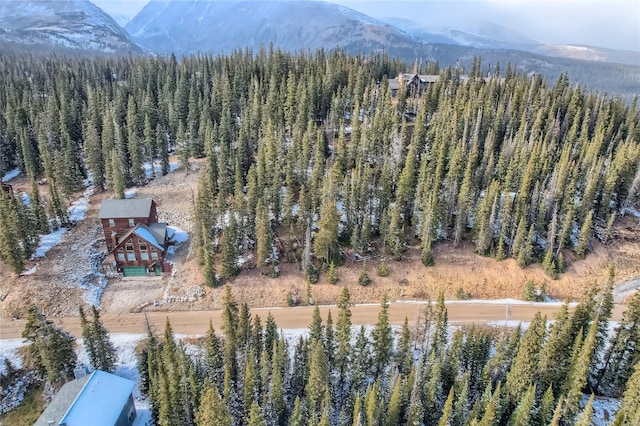 281 Kimmes Ln, Breckenridge, CO 80424