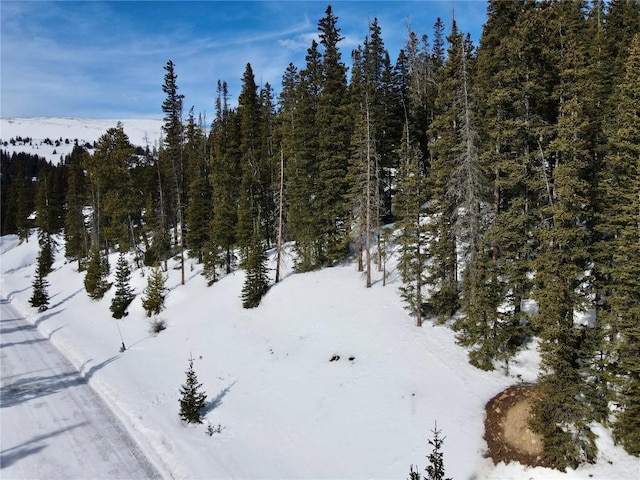 281 Kimmes Ln, Breckenridge, CO 80424