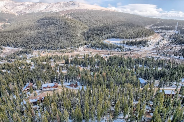 281 Kimmes Ln, Breckenridge, CO 80424