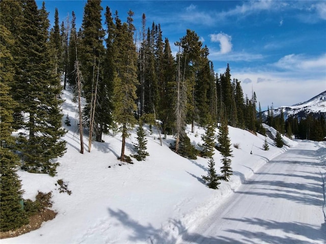 281 Kimmes Ln, Breckenridge, CO 80424