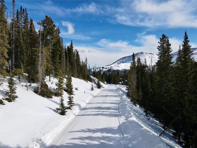 281 Kimmes Ln, Breckenridge, CO 80424
