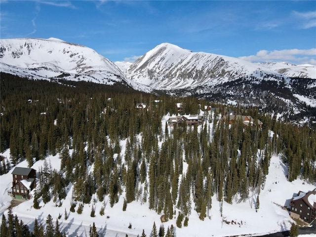 281 Kimmes Ln, Breckenridge, CO 80424