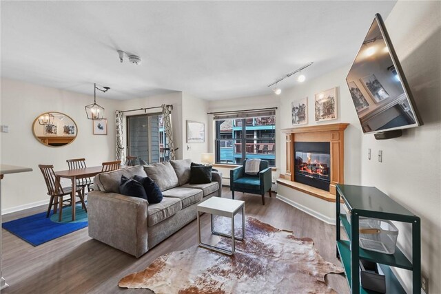 100 S Park Ave Unit E312, Breckenridge, CO 80424 - living room featuring wood finished floors, track lighting, a glass covered fireplace, and baseboards