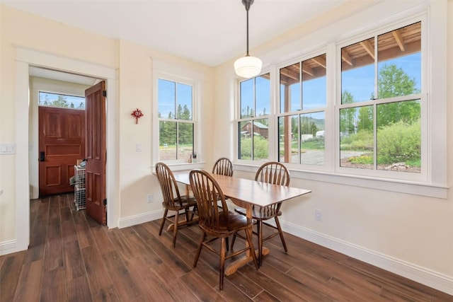 25640 6th Ave, Hahns Peak, CO 80428 - dining room featuring baseboards and dark wood-type flooring