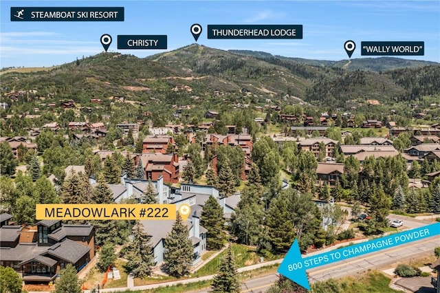 3020 Village Dr Unit 222, Steamboat Springs, CO 80487 - view of miscellaneous document