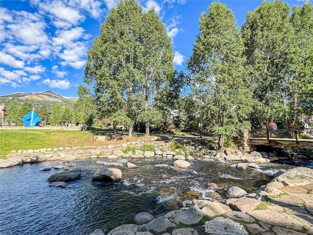631 Village Rd Unit 34500, Breckenridge, CO 80424 - photo 46