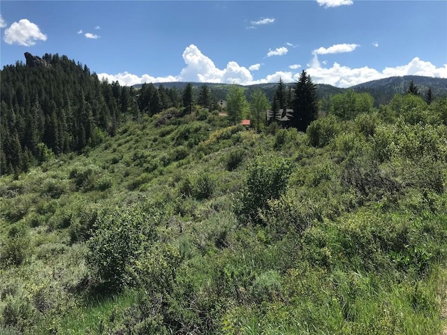 22970 Snowbird Way, Oak Creek, CO 80467