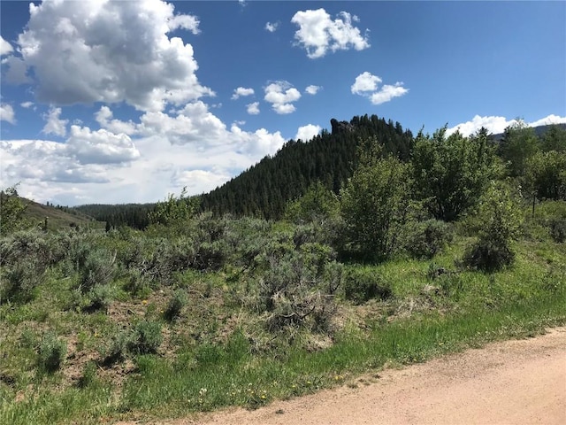 22970 Snowbird Way, Oak Creek, CO 80467