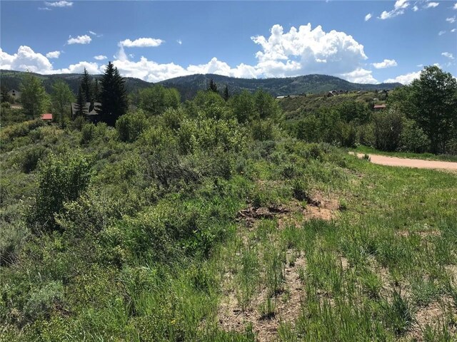 22970 Snowbird Way, Oak Creek, CO 80467