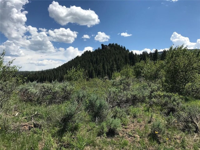 22970 Snowbird Way, Oak Creek, CO 80467
